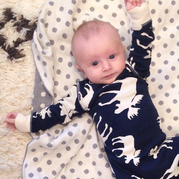 Don't Moose with Me! - Peach and Pumpkins